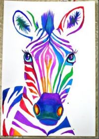 colorful Zebra