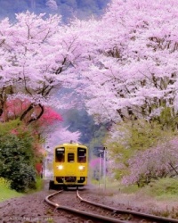 Passeando de trem em Oita, Japão !!!