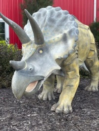 Countryside triceratops dinosaur