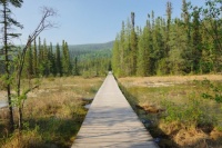 Liard River Hot Springs