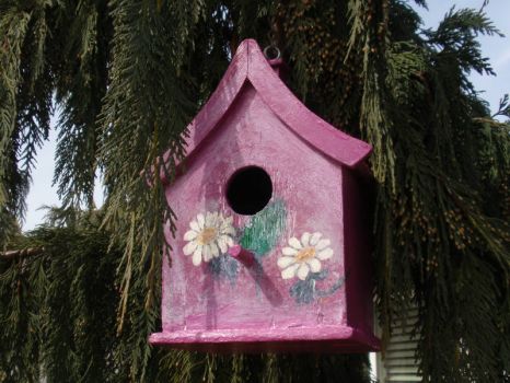 Backyard Bird House #1