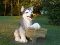 Watch Dog...LOL
