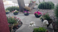 Spring is here