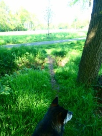 Shenna and me walking a new (new for us) narrow trail. At the end we had to balance across a narrow slab of concrete.....