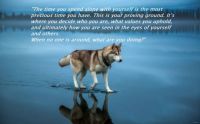 Dog walking on water