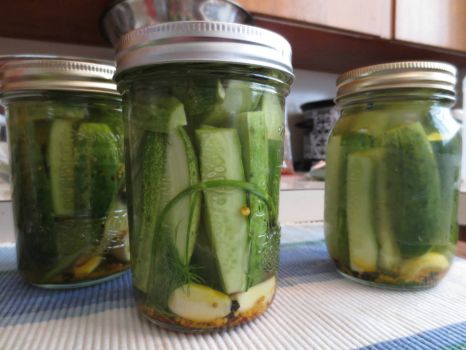 Pickling Pickles