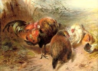Chickens (1854)