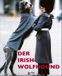 irish wolfshound