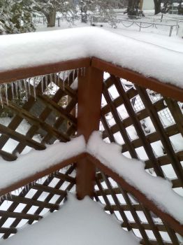 Snow on Cedar