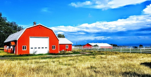 Solve Spring Barn & Buildings jigsaw puzzle online with 378 pieces