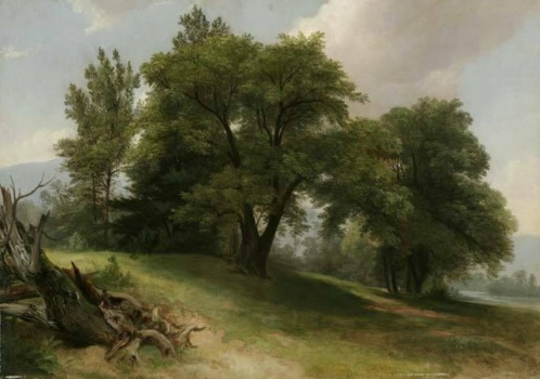 Solve Asher Brown Durand (1796-1886): Landscape Near Shokan, Ulster ...