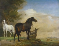 Two Horses near a Gate in the Meadow by Paulus Potter