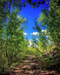 Beaver Creek Colorado