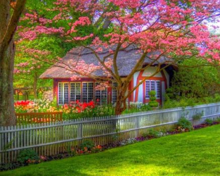 blooms and cottage