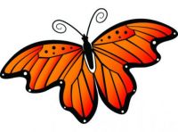 OrangeButterfly