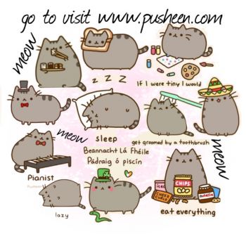 Solve pusheen c: jigsaw puzzle online with 100 pieces