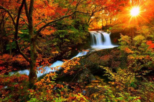 Solve colorful fall scene jigsaw puzzle online with 54 pieces