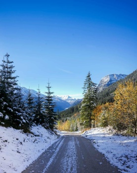 Solve first snow jigsaw puzzle online with 195 pieces