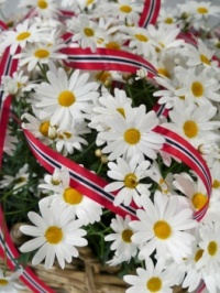 Flowers for today :-)