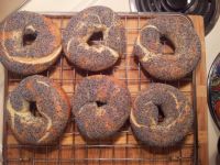 Homemade Montreal bagels!