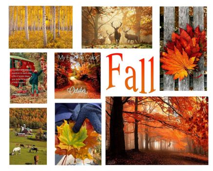 Solve Fall Compilation.2 jigsaw puzzle online with 30 pieces