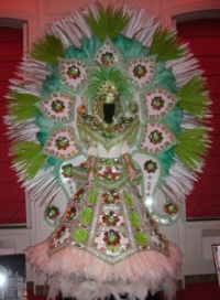 Costume du carnaval de RIO