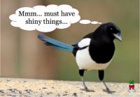 THEME ~  "Things That Glisten-Shine-Reflect" . . . Magpies Love Shiny Things