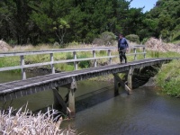 Man walking across bridge over stream at Te Henga beach, Auckland, pic taken Nov 2004