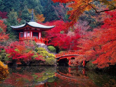 Daigo-Ji Temple in Autumn