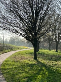 Yellow Brick Road, Newmarket