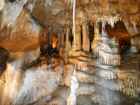 Javoříčské jeskyně, Javoříčské caves ..CZ