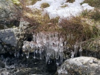 #1 Ice formations along the open stream, Flø, Norway