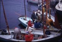A Nest of Luggers