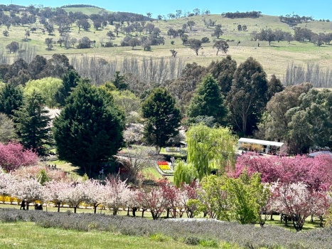 Solve View of Tulip Top Gardens and Surrounding Countryside, Canberra ...