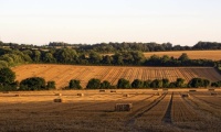 Hampshire Hay Field