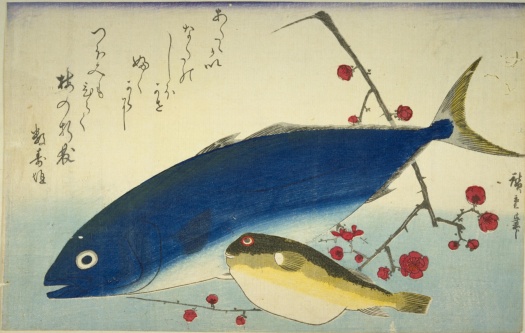 Solve Utagawa Hiroshige, fish, inada, pufferfish, plum, woodblock print ...