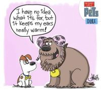 The Secret Life of Pets Duke