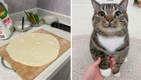 Pizza Maker 🍕