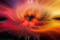 Twirled-L_Pokegma_Sunset-3403