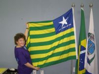 Brazil Piau Flag