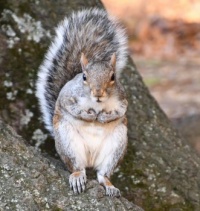 I live in Central Park, New York City, New York