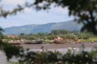 The Ships' Graveyard
