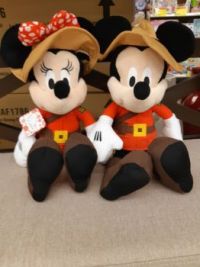 Mini and Mickey Mouse