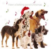 Have a barking good Christmas
