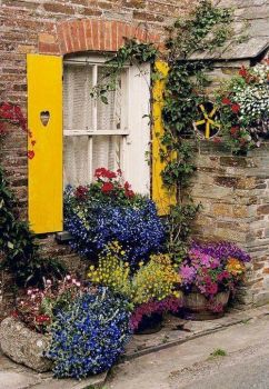 Lush Window Containers.
