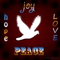 Christmas Wishes for You