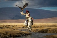 Kazakh Eagle Hunter