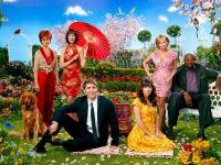 Shows to Watch: Pushing Daisies