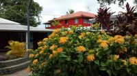 The red House