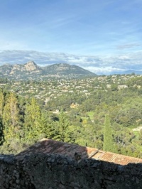 Lots of trees in St Paul de Vence